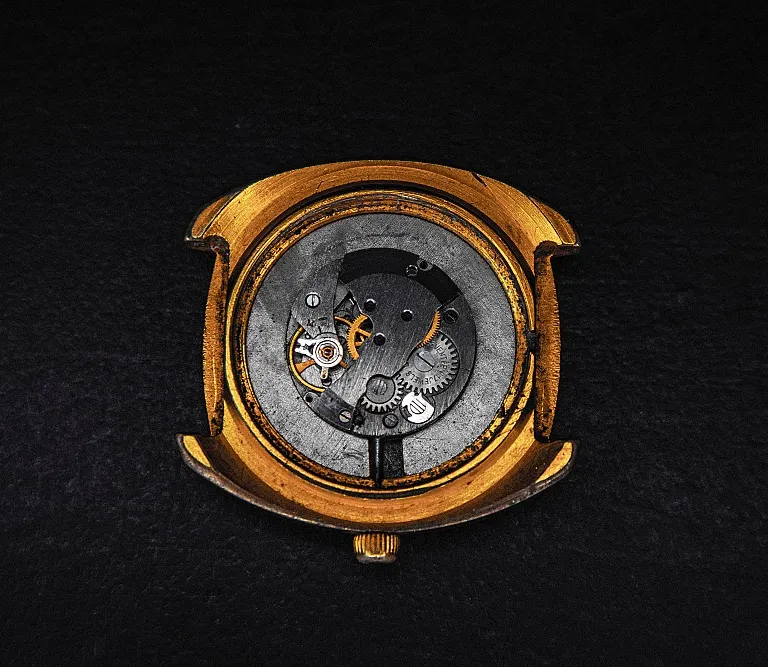 The Allure of Brown and Gold Timepieces