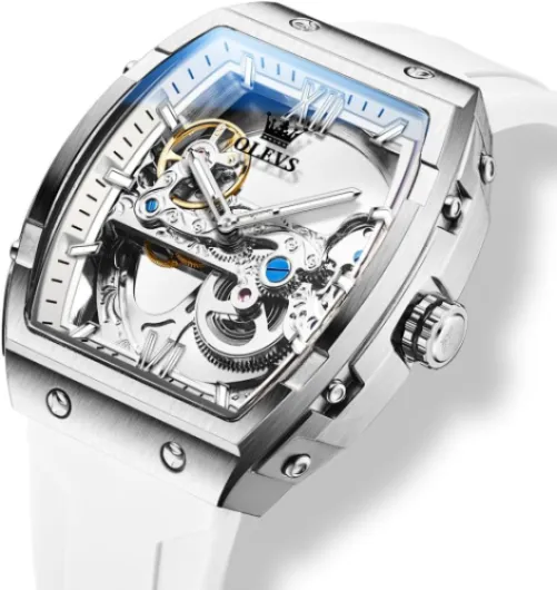 Watch for Men Automatic Mechanical Luxury Dress Tourbillon Stainless Steel Waterproof Wrist Watches Date G6779：white Strap&silver and White Dial