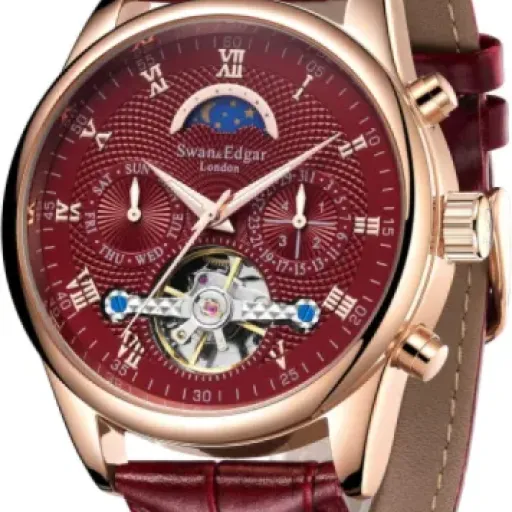 SWAN AND EDGAR Complexity Automatic Review: bold skeleton dress watch with a few trade-offs