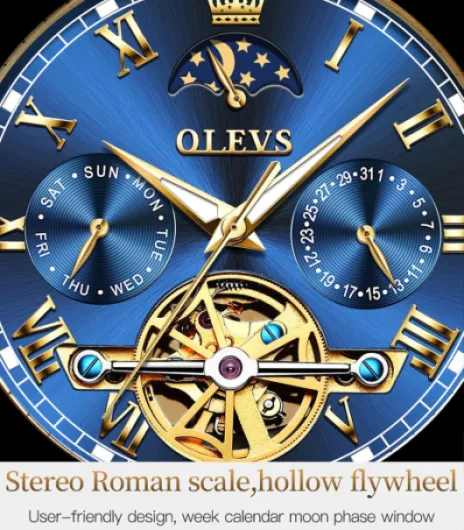 Automatic Self-Winding Skeleton Watch for Men - Tourbillon, No Battery, Luxury Stainless Steel With Date, Mechanical, Waterproof, Fashion Gw-g6617-all Gold